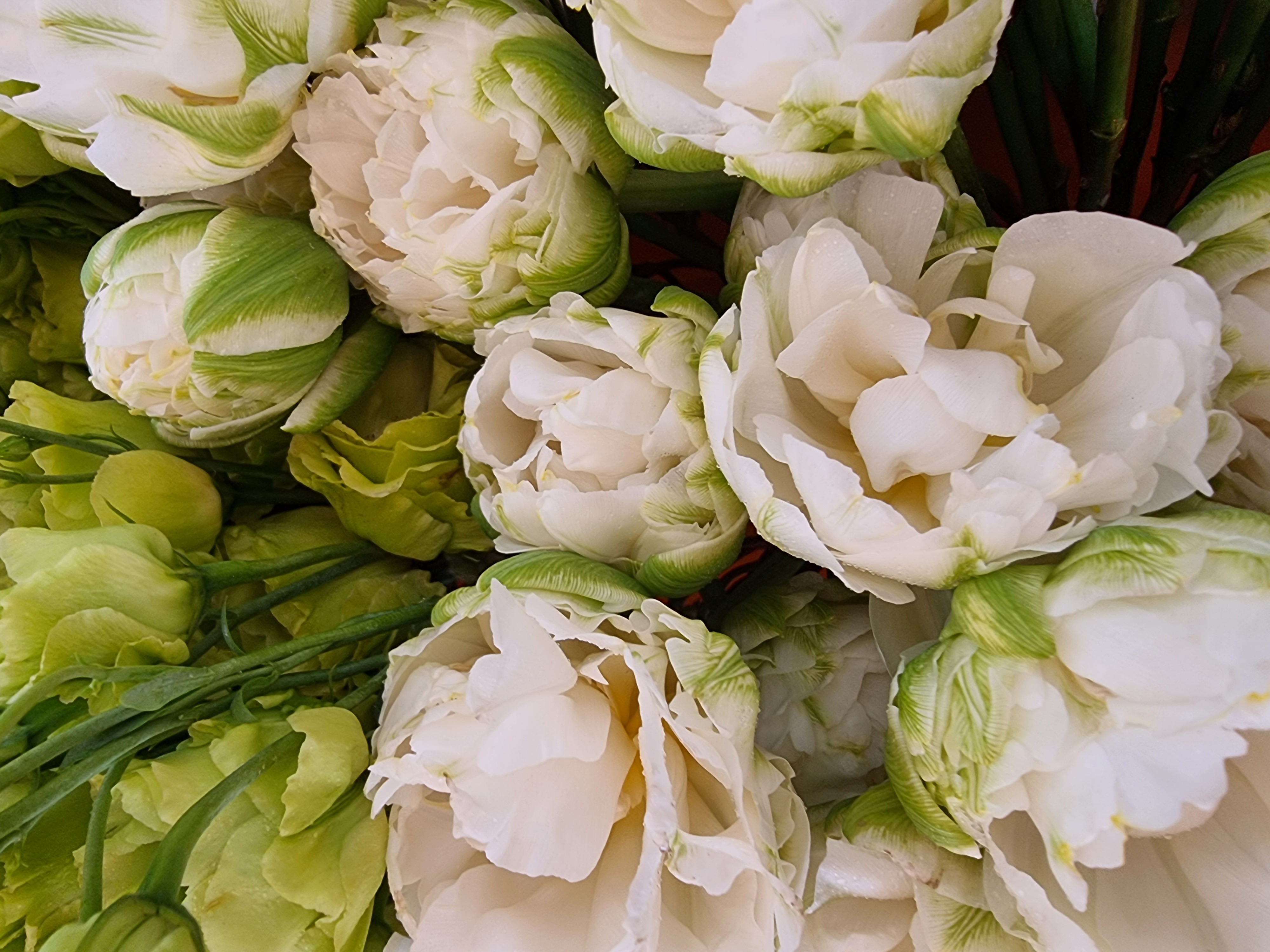 flowers